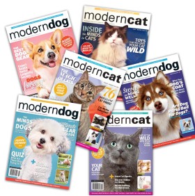 Modern Cats & Dogs