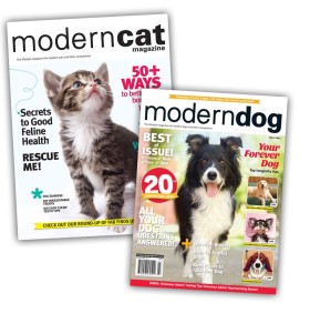Modern Cats & Dogs