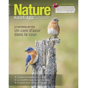 Nature sauvage
